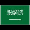 Saudi Flag